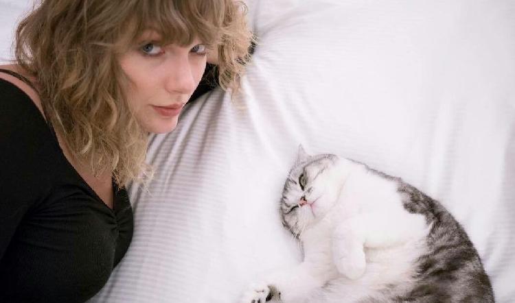 No vas a creer cuanto dinero vale el gato de Taylor Swift (FOTO)