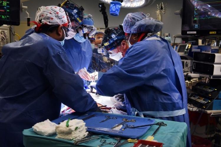 Se realiza con éxito el primer trasplante de corazón de un cerdo a un humano